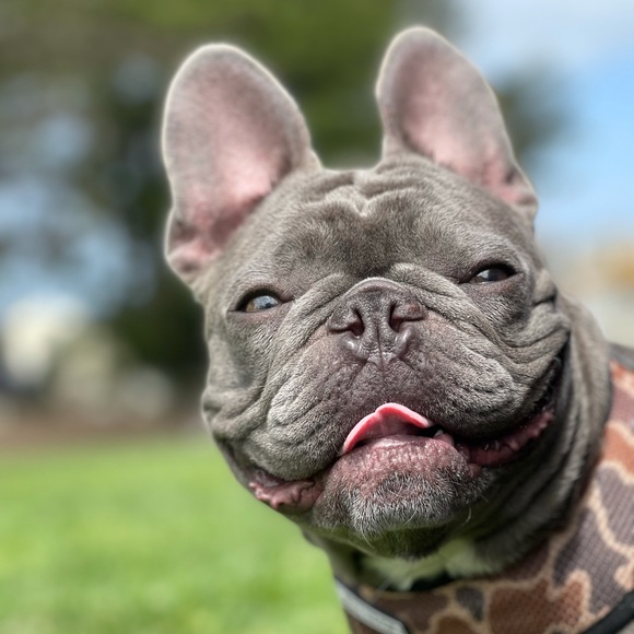 jeegarboo